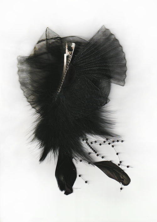 FEATHER CLASSIC HP